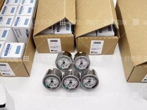 Đồng hồ đo áp suất OPG-DT-R1.4